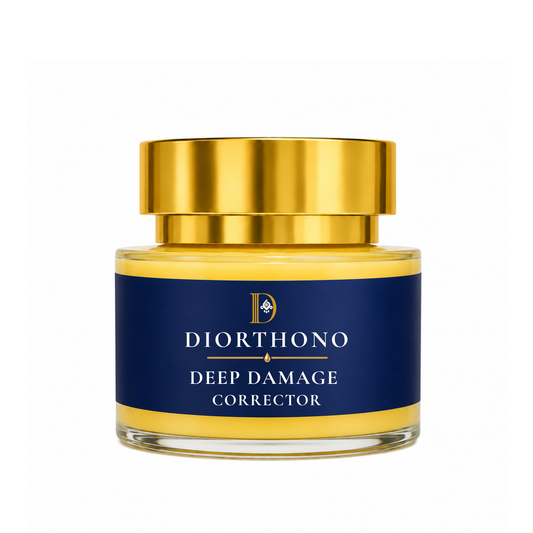 Deep Damage Corrector