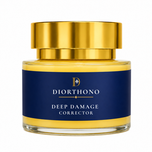 Deep Damage Corrector