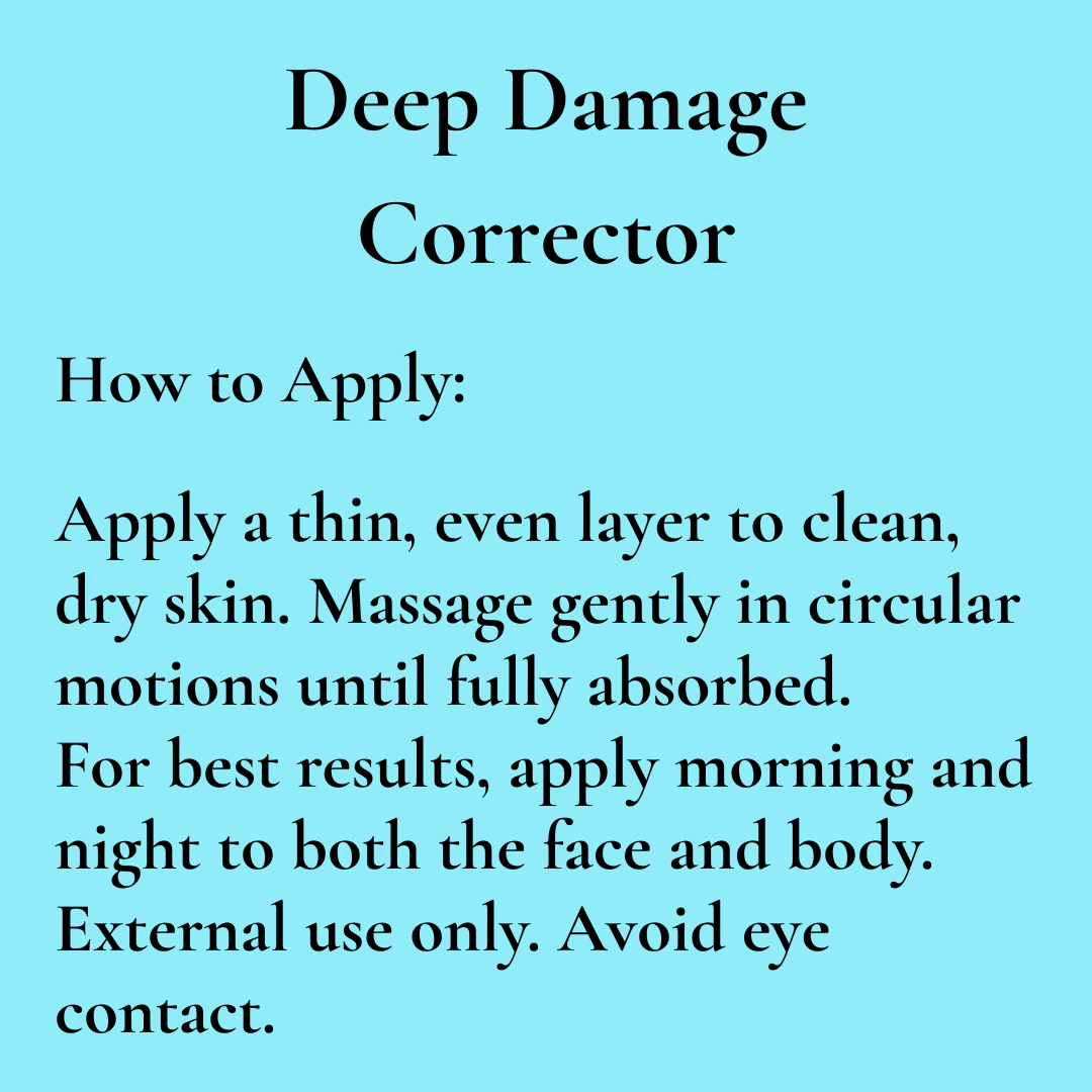 Deep Damage Corrector
