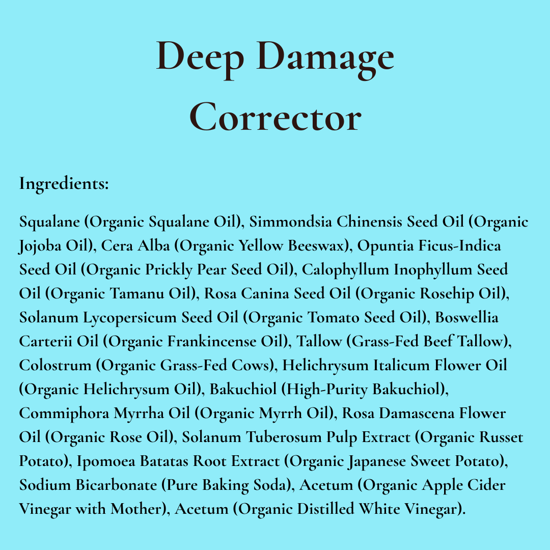 Deep Damage Corrector